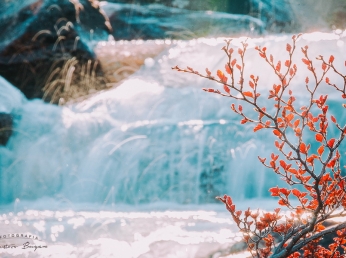 Visitá Ushuaia