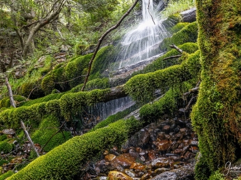 Visitá Ushuaia