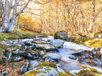 Visitá Ushuaia