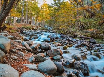 Visitá Ushuaia